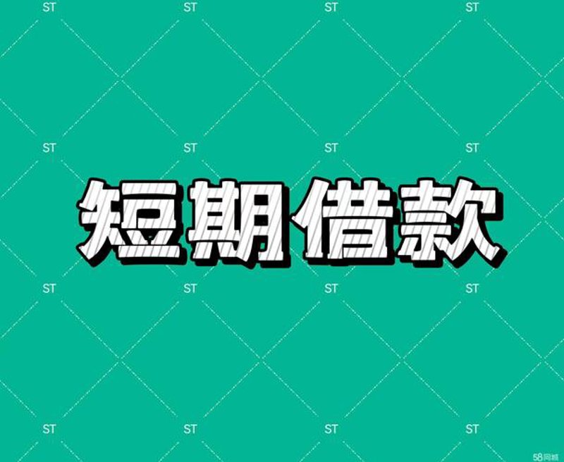 应急短期借款
